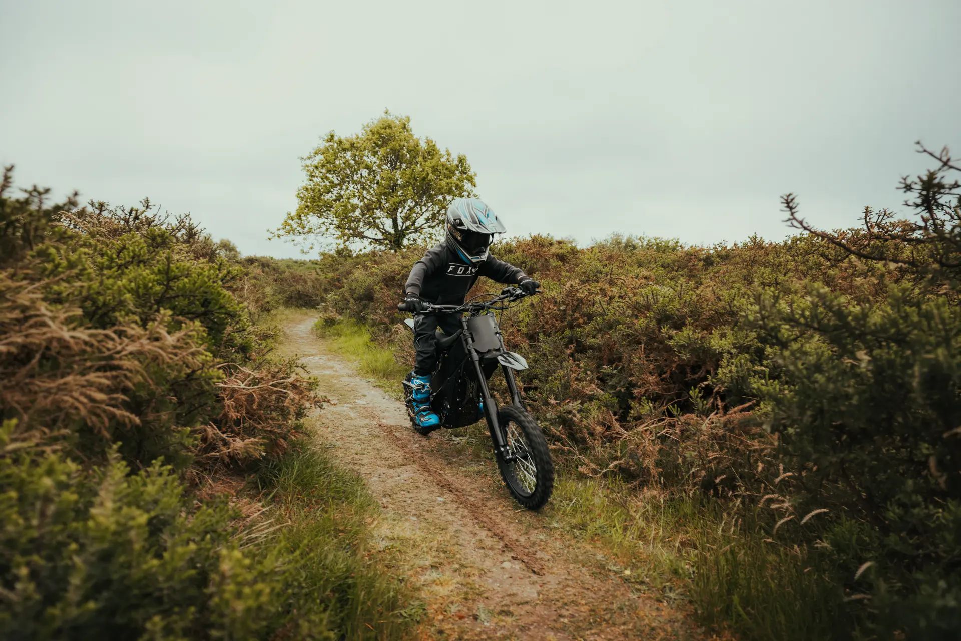 Which Talaria Should You Buy? A UK Beginner's Buying Guide